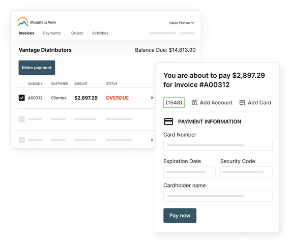 Oracle Net Suite ERP Payment Processing Payment