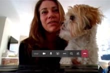 Eine Mitarbeiterin hat in der Videokonferenz ihren Hund im Bild.