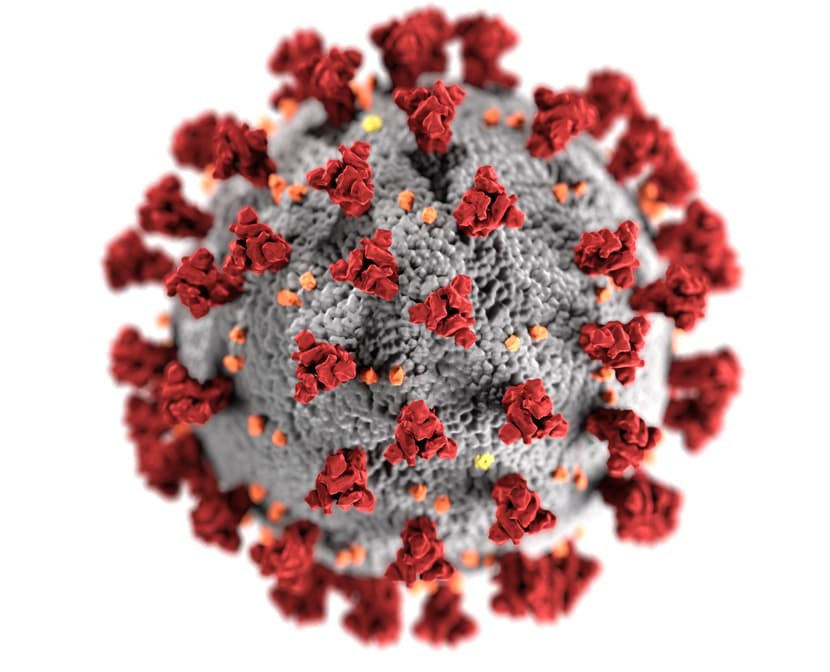 Abbildung des Covid-Virus