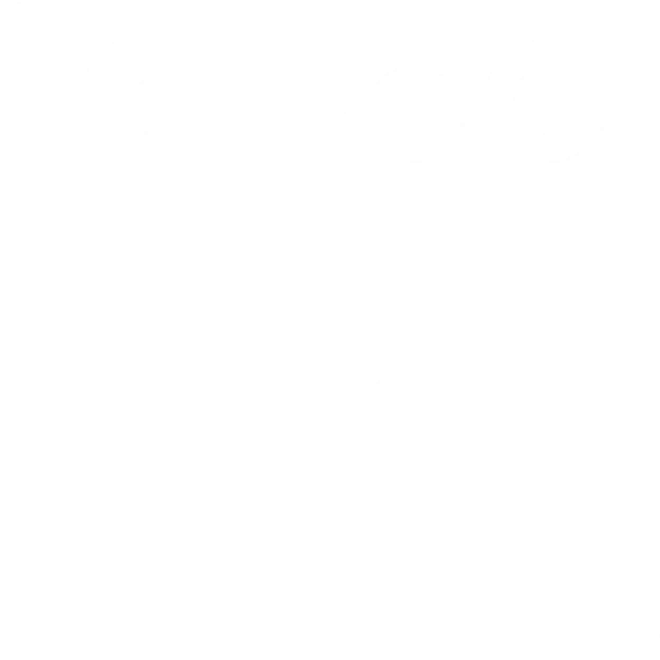 Bingo Icon w