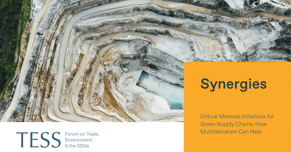 TESS - Critical Minerals Initiatives for Green Supply Chains: How