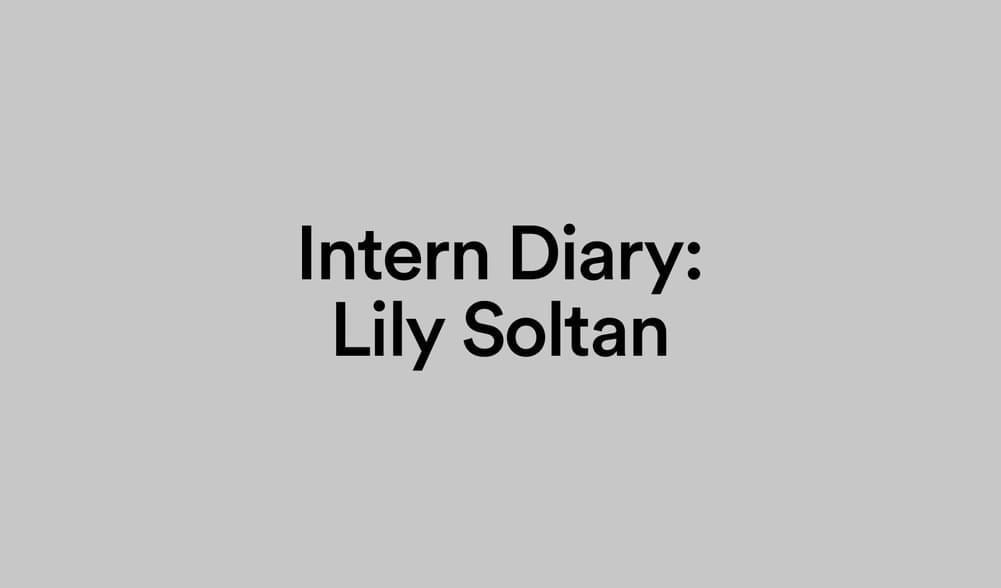 Intern Diary