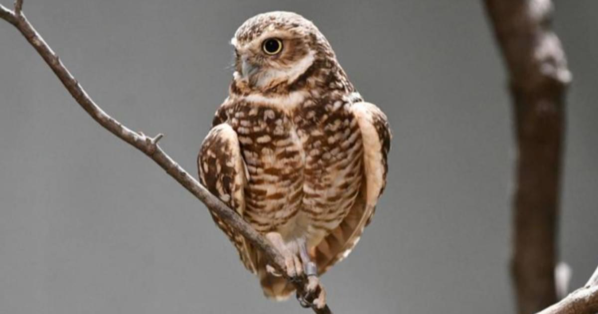 Date Ideas In St Louis Area Date Ideas In St Louis Area