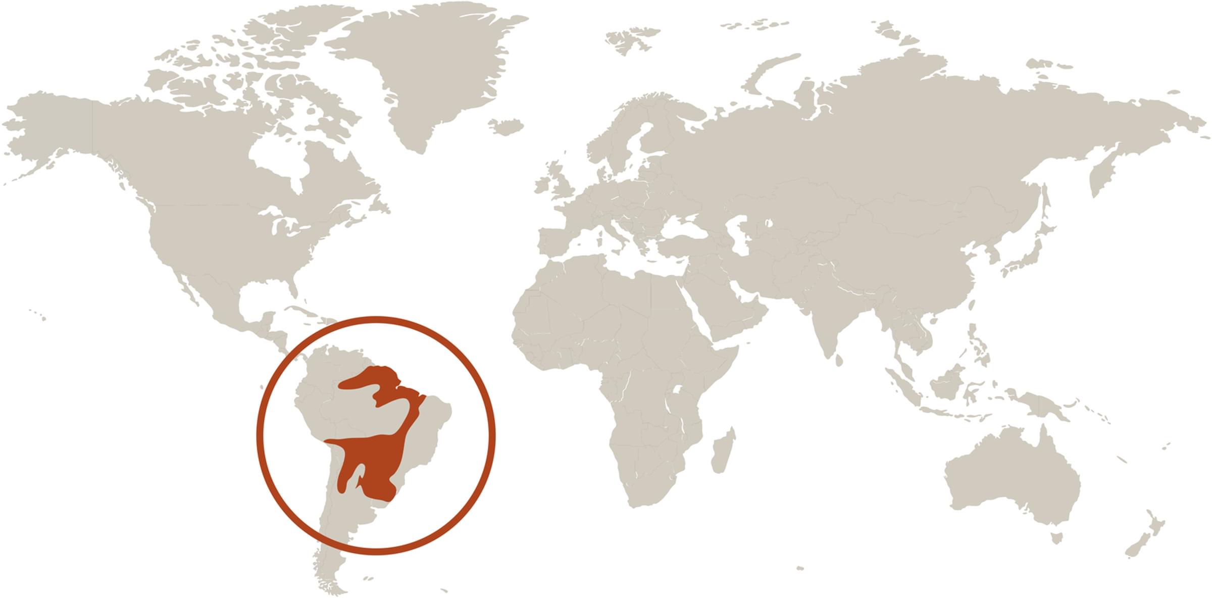 Where Do Toucans Live