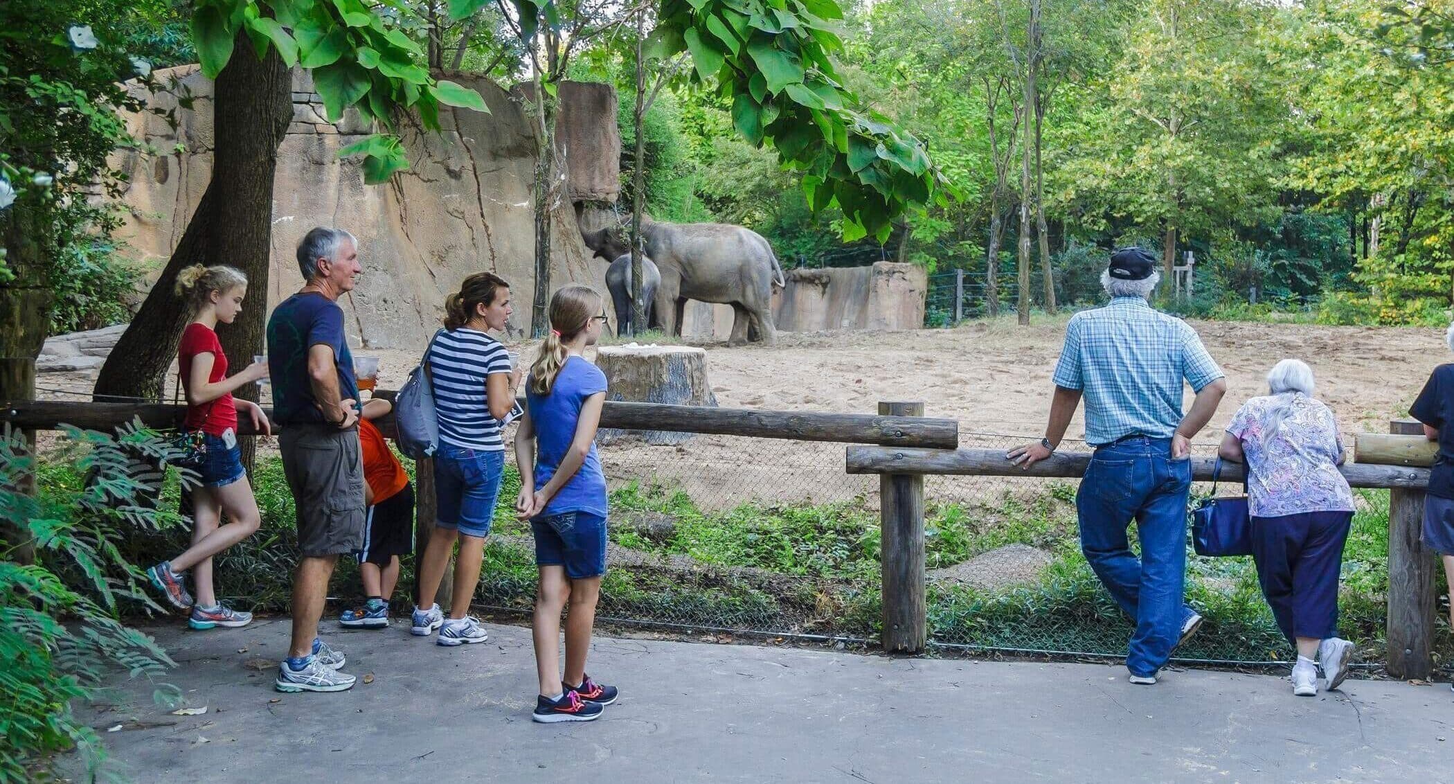 visit the zoo with parents drawing