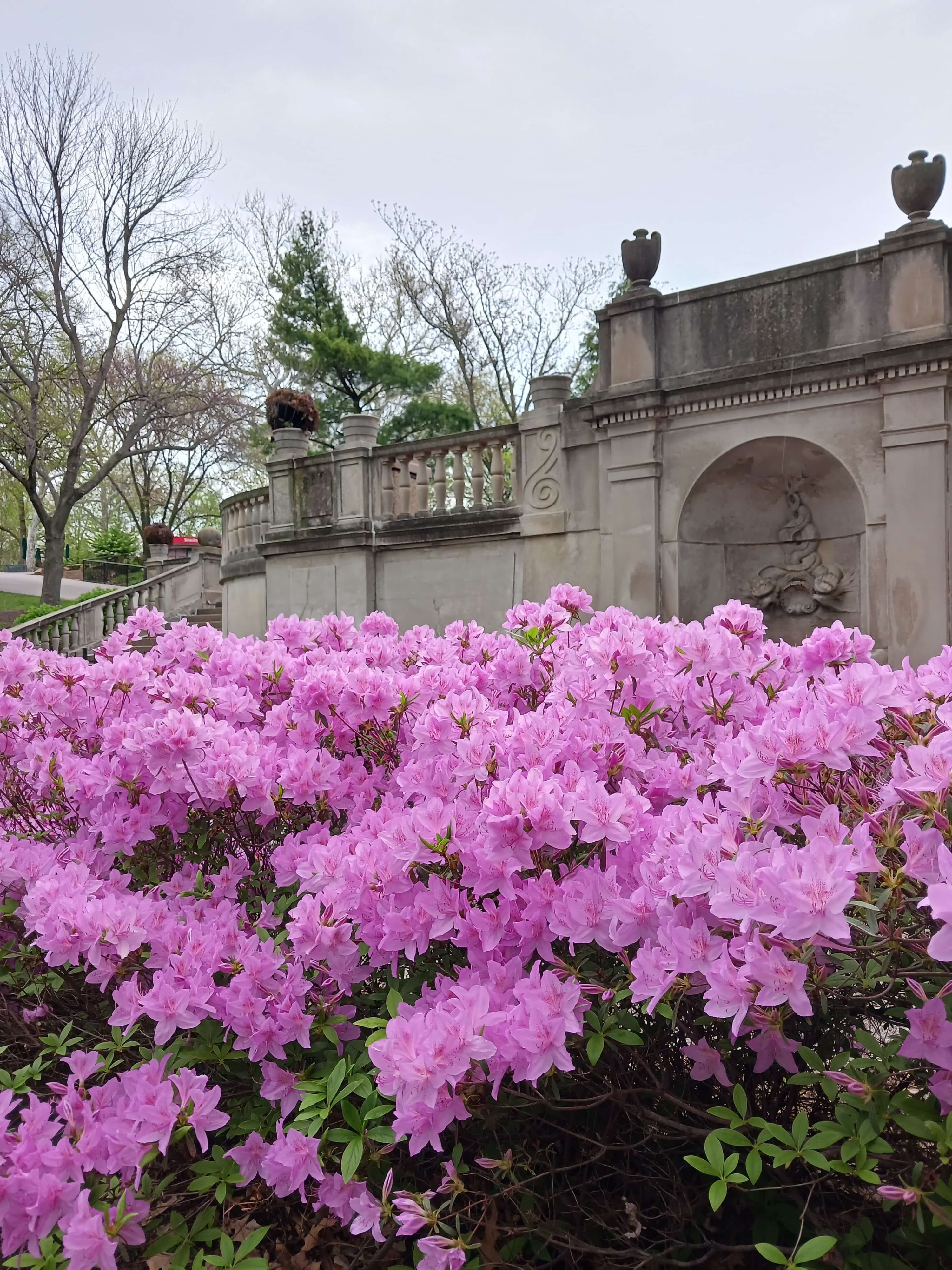 Pink Plantscape, Horticulture Blog