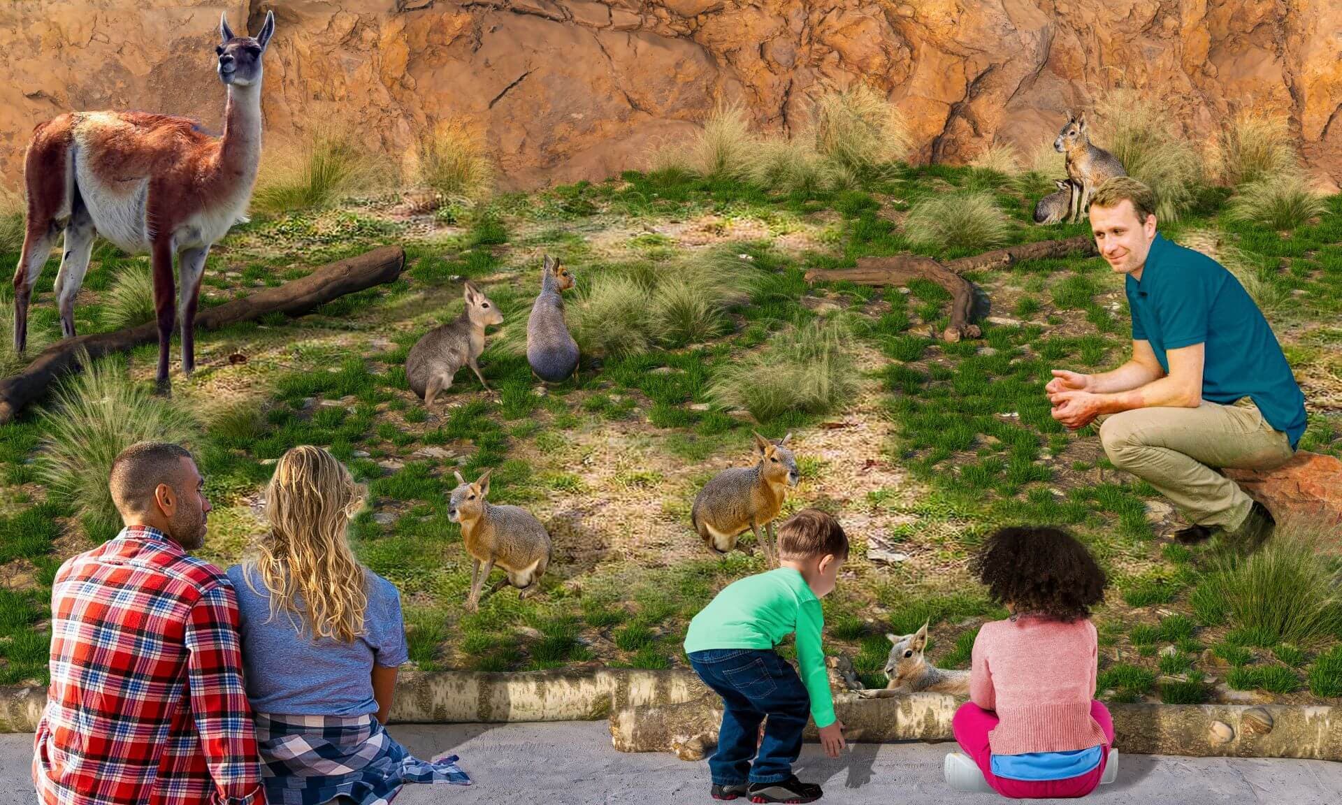 Saint Louis Zoo Unveils Name and Shares Plans for… | Saint Louis Zoo