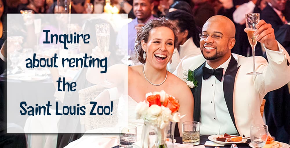 Inquire about renting the Saint Louis Zoo!