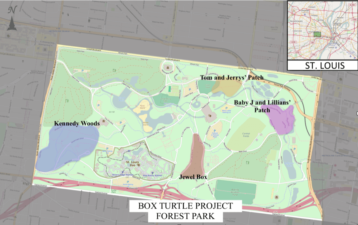 Box Turtle Project Map