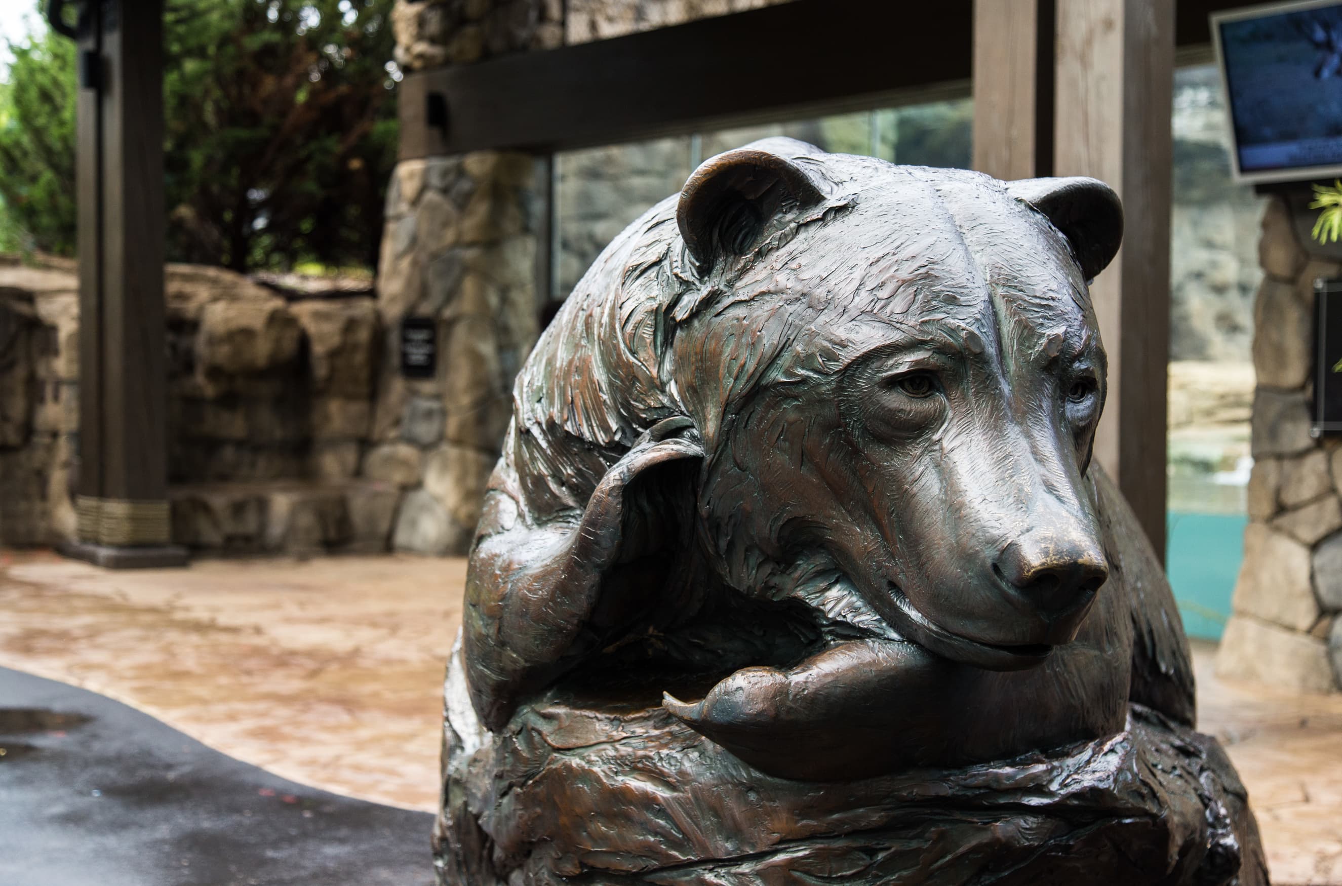 Saint Louis Zoo | Grizzly Ridge