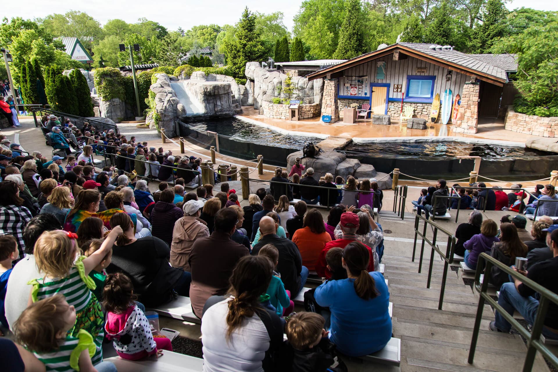 Saint Louis Zoo | Sea Lion Show
