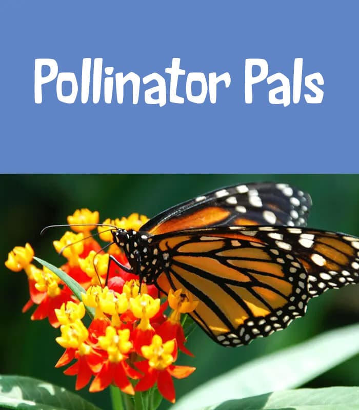 Pollinator Pals