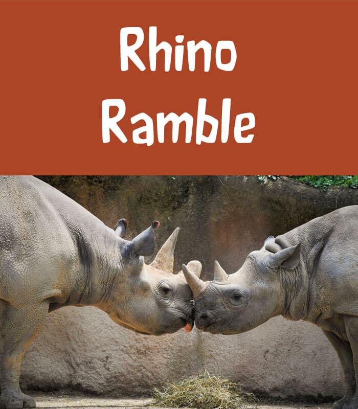 Rhino Ramble