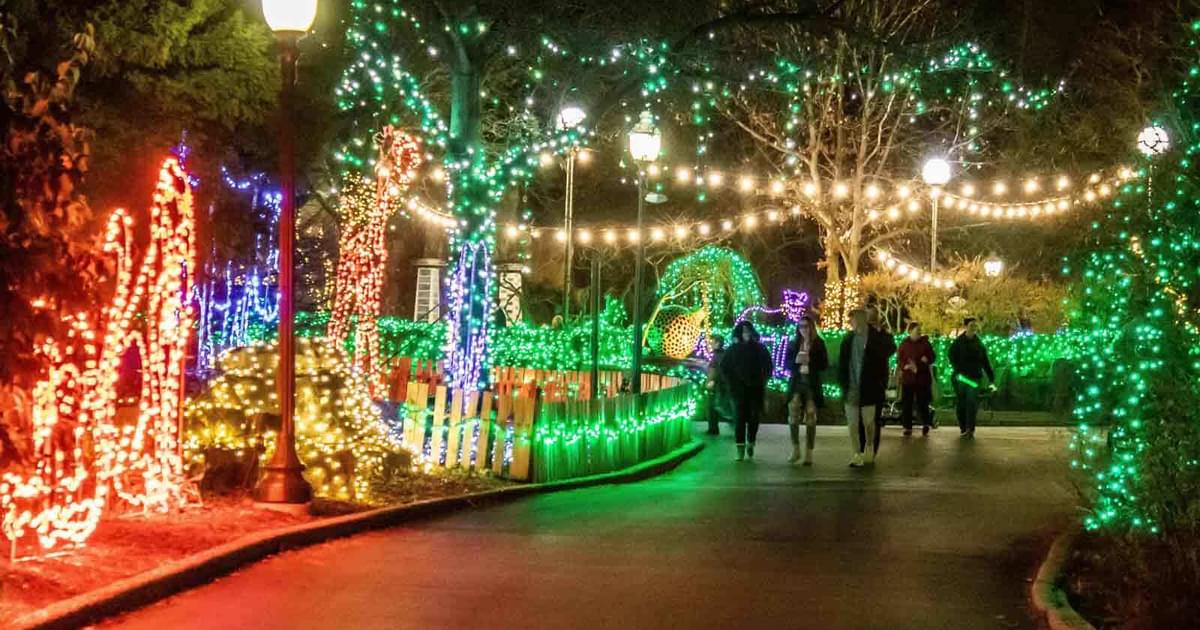 St Louis Zoo Christmas Lights 2025