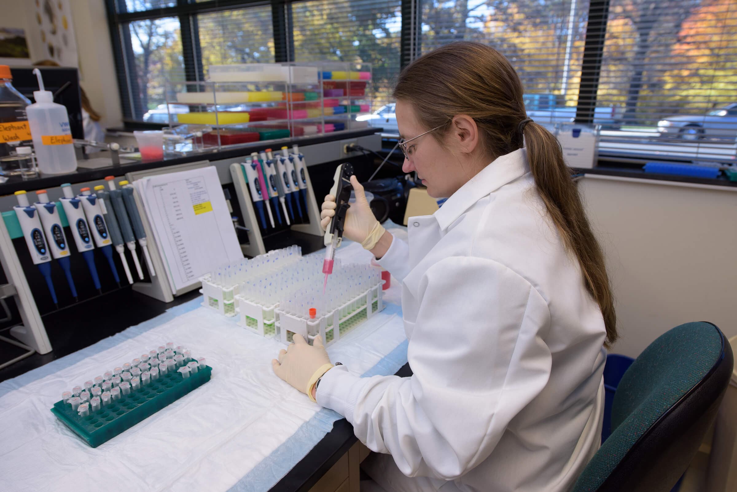 Researcher at the Zoo