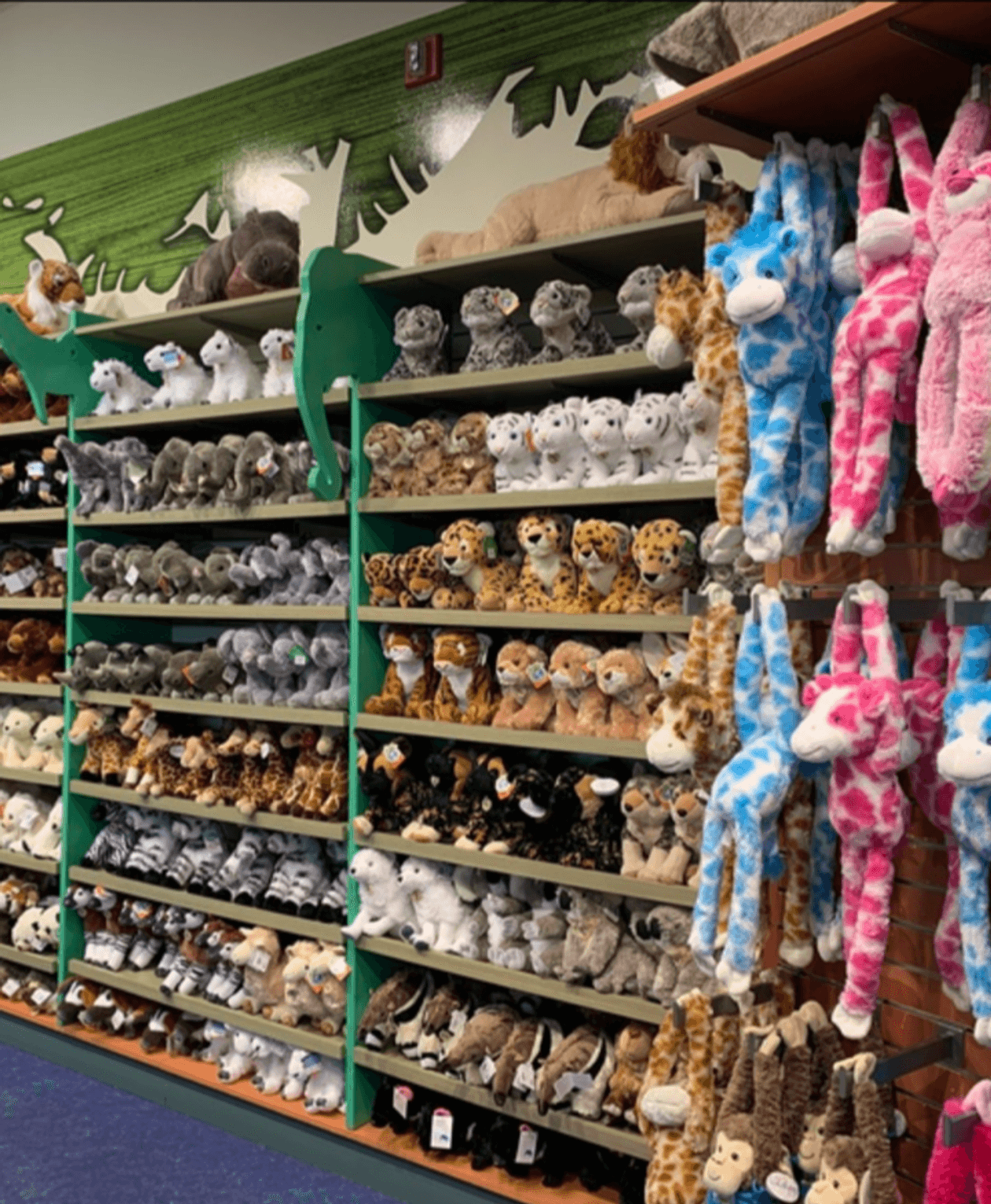 Shops Animash Gift Shops | Saint Louis Zoo