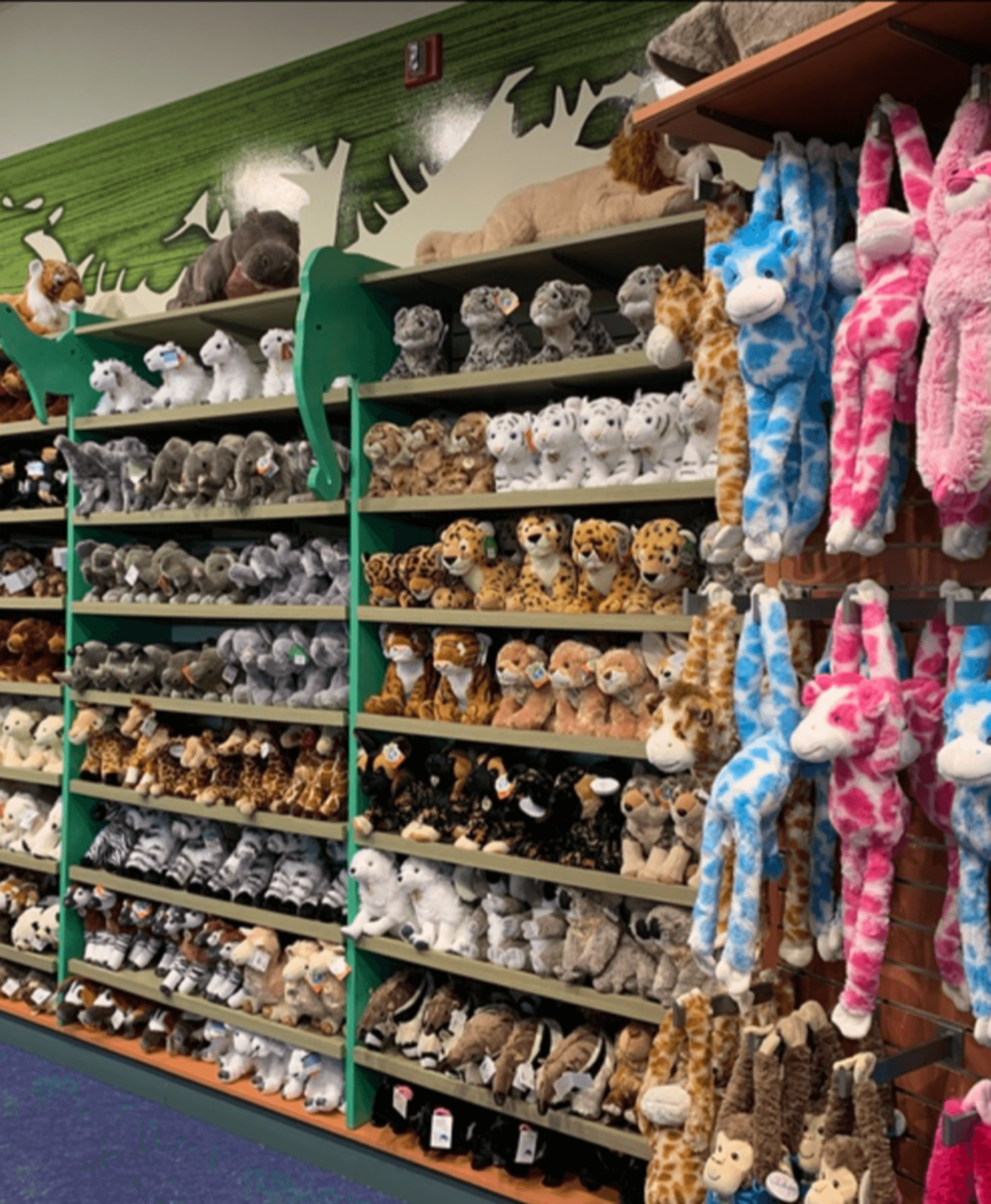 Gift Shops Saint Louis Zoo