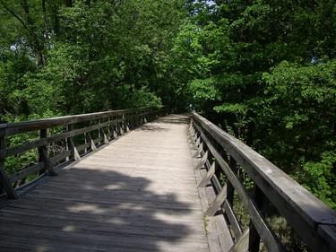 MKT trail in Columbia, MO; photo by HornColumbia