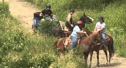 When an ATV encounters a horse on the trail they should pull over, turn the engine off, remove their helmet to avoid spooking the horse, and wait until the horse has passed to get back on the trail. Educating trail users about best practices is vital to multi-use conflict resolution. 