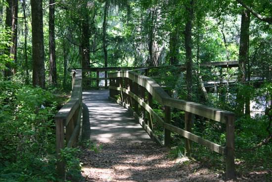 Walkway to Suwannee River overlook; photo by Florida Park Service