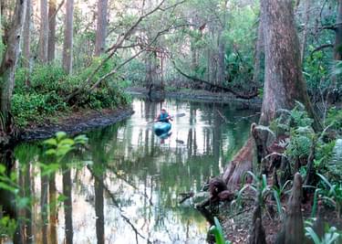 Paddling on the Suwannee River water trail; photo by the Florida Park Service