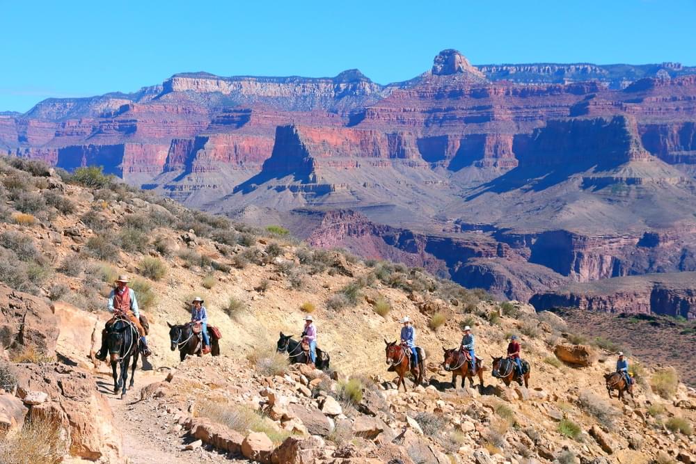 Mule Riders on South Kaibab Trail, Grand Canyon National Park, AZ