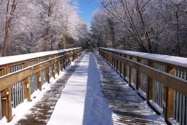 Snowy day on the American Tobacco Trail; photo by Tony D'Amico