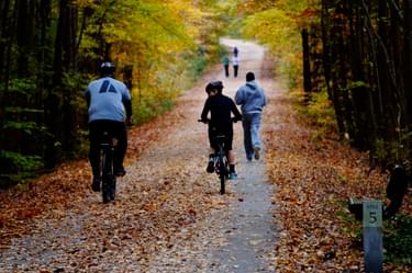 Bikers and walkers having fun on the trail; photo by Sarina Lewis