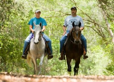 Horse riders on the Nature Coast State Trail; photo by John Moran