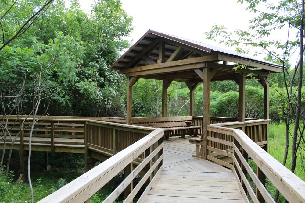 The elevated boardwalk helps to keep the ecological integrity of the wildlife and habitat that surrounds the trail