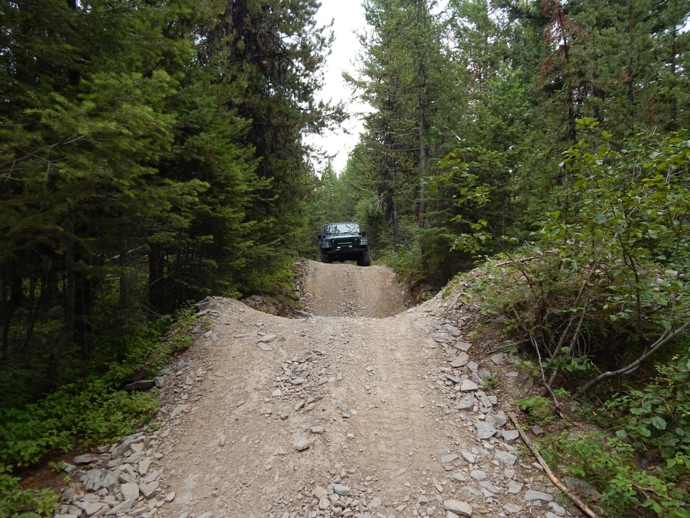 Blacktail-Wild Bill OHV Trail, Flathead National Forest, Montana