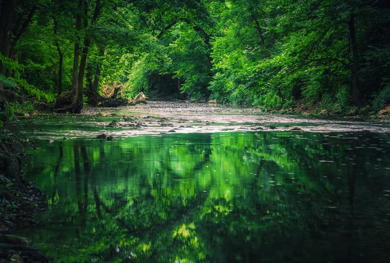 Summer Reflections on the Wilson’s Creek Greenways Trail in Springfield, Missouri; Photo by Allin Sorenson