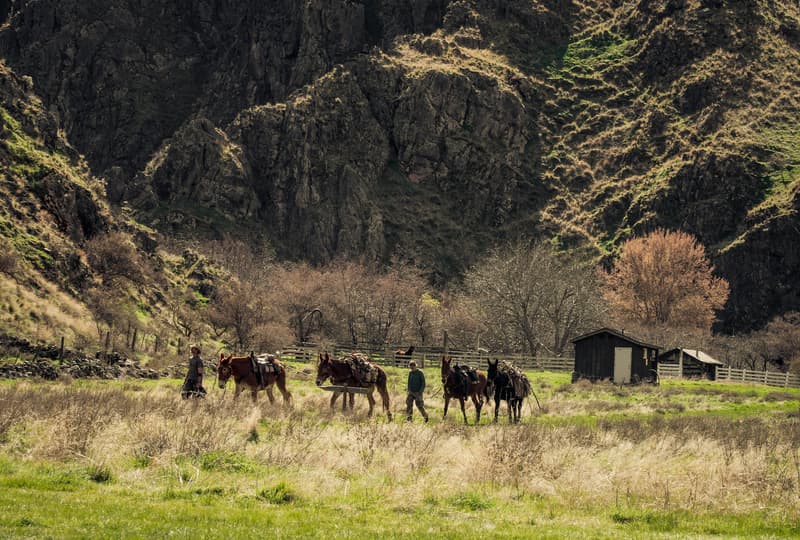 Historic Kirkwood Ranch on the Snake River Trail in Hell's Canyon near McCall, Idaho; Photo by Ida Koric