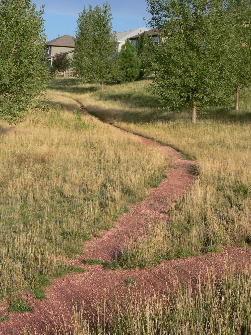 Narrow crusher fines trails provide neighborhood access to open space along Little Dry Creek in Arvada, CO.