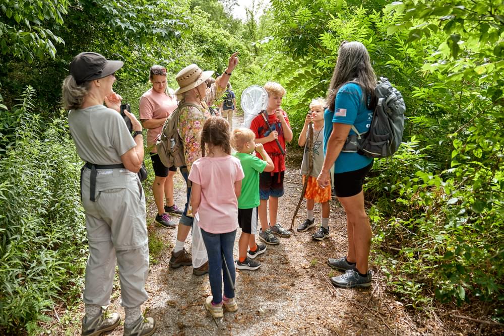 Land Trust of North Alabama volunteer educators lead a group along the trails at Harvest Square Nature Preserve to learn and observe the importance of pollinators during a summer children's environmental education program.