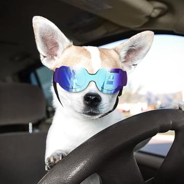 Namsan Stylish and Fun Pet/Dog Puppy UV Goggles Sunglasses Waterproof Protection Sun Glasses for Dog