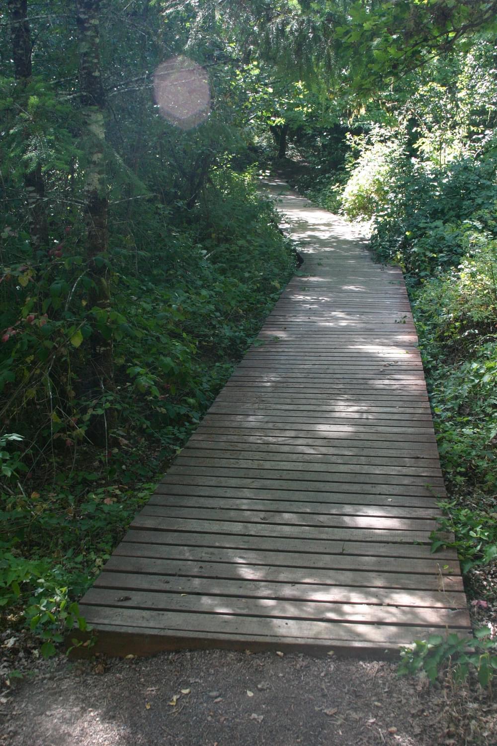 The classic problem on dirt trails where the bridge itself is above the trail grade. Surfacing materials wear away leaving a step; Woodpecker Loop Trail in Finley National Wildlife Refuge, Oregon