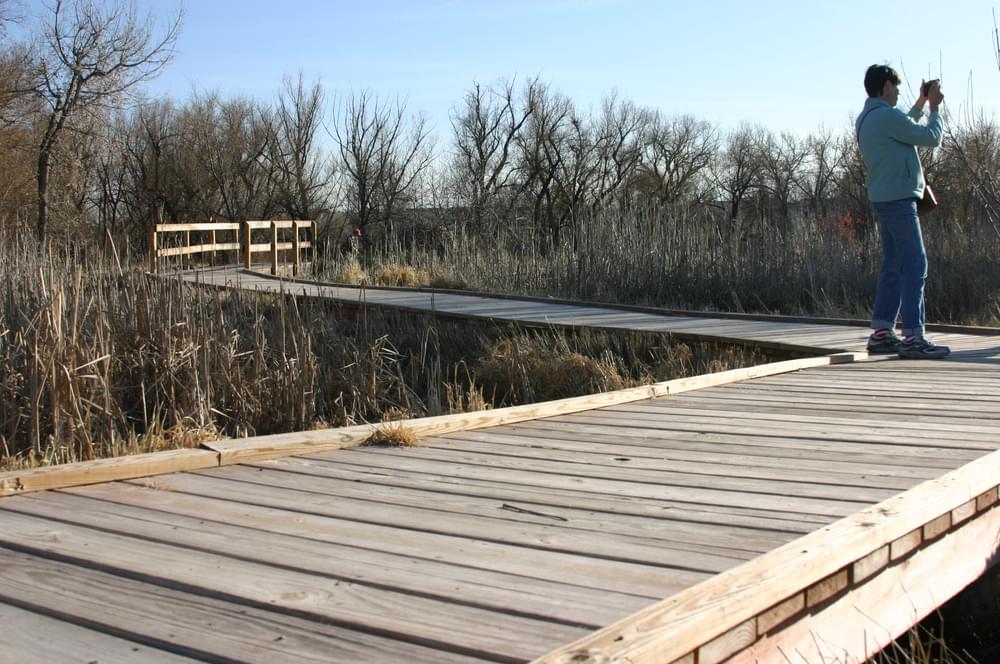 Eisen Gross led restoration efforts on the trail in 2009 as an Eagle Scout project; Greenbelt Wetland Boardwalk in Lakewood, Colorado