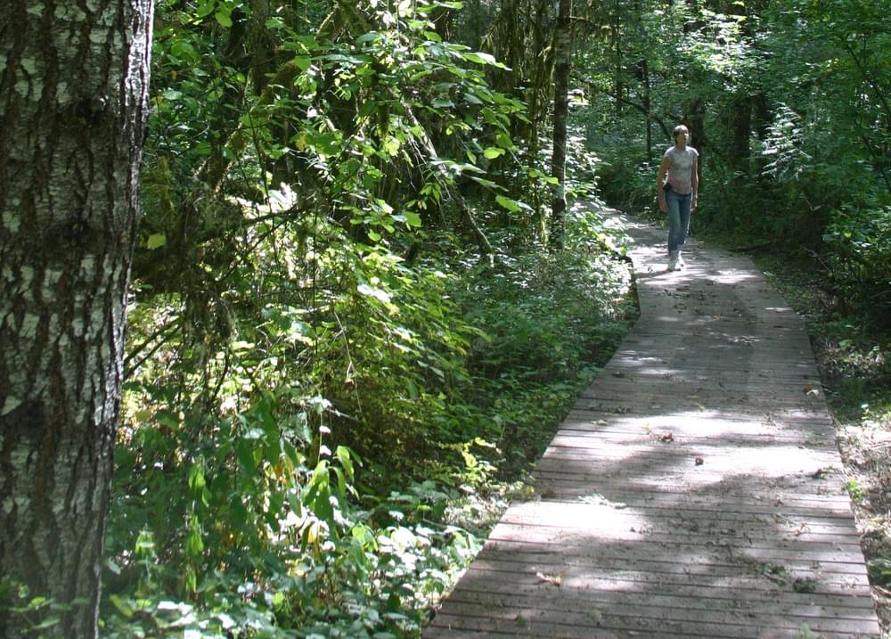 Woodpecker Loop National Recreation Trail in Finley National Wildlife Refuge, Oregon