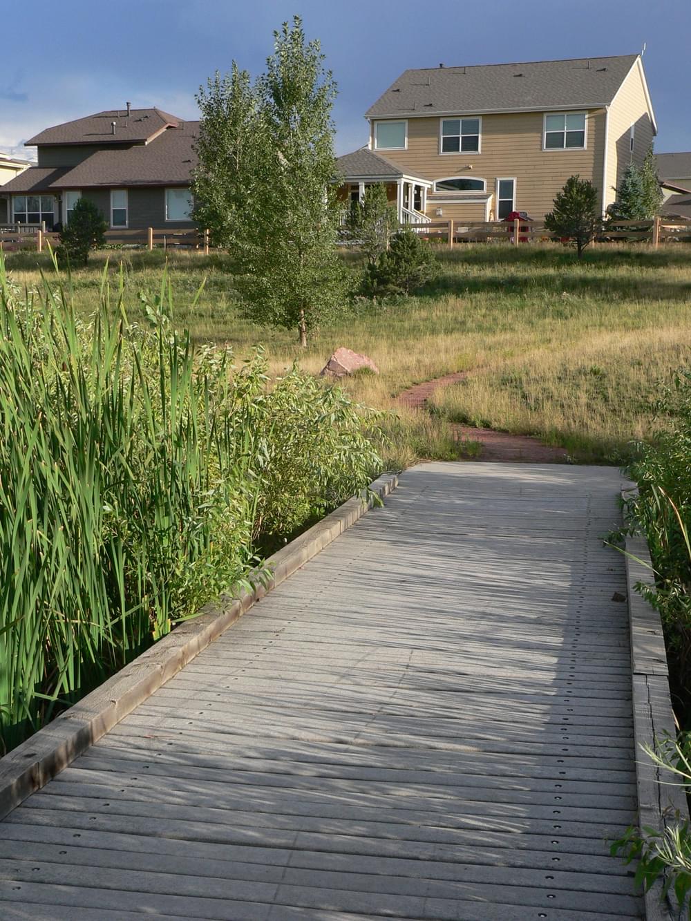 Planked walk is almost a bridge crossing a small wetland adjacent to Little Dry Creek Trail in Arvada, Colorado