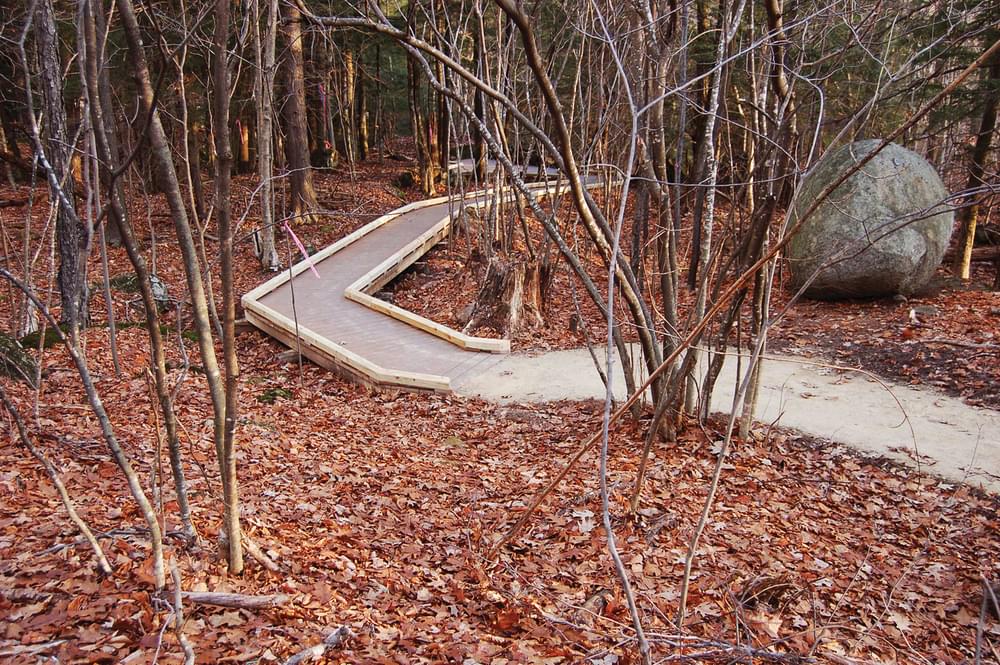 Incorporating natural features into trail alignments
