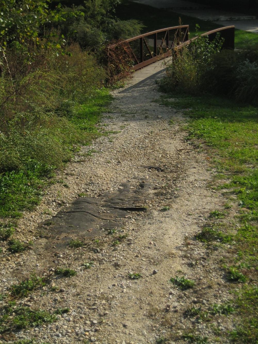 The landscape fabric is exposed due to runoff - the trail runs straight down the slope; Philadelphia, Pennsylvania