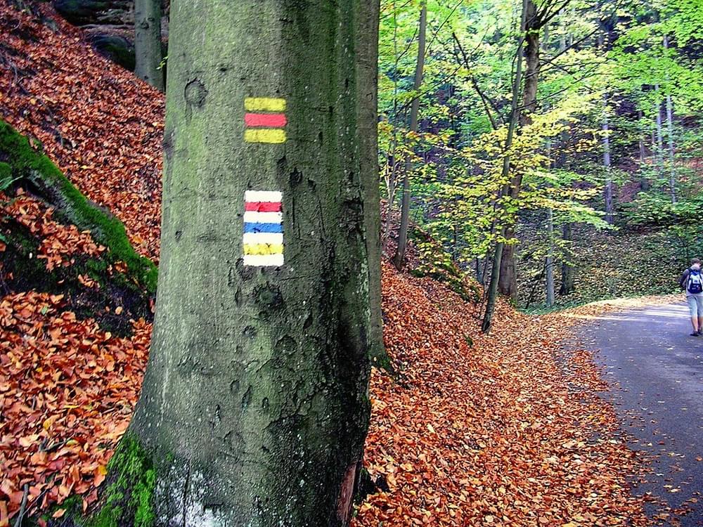Tourist trail signs for cycling (top) and hiking (bottom) in the Czech Republic.
