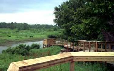 Accessible boardwalk and viewing deck on the Diana Bend Conservation Area