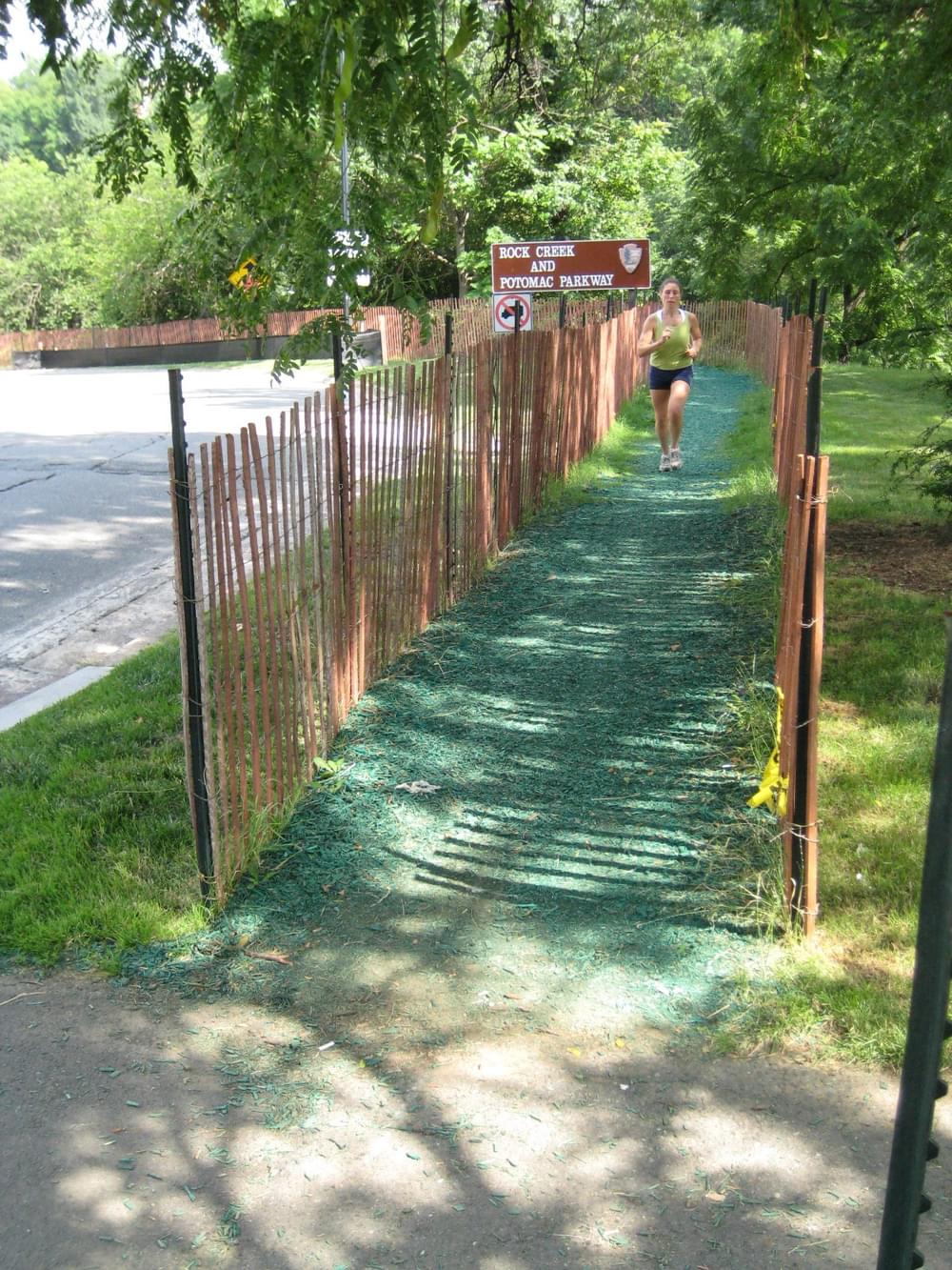 Detour is fenced and surfaced with wood chips dyed green, for some reason; Rock Creek Trail, Washington, DC