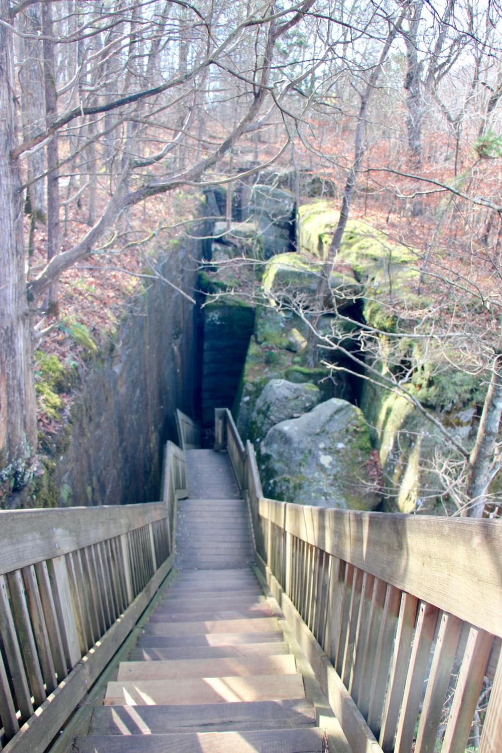 Stairs to lower trail