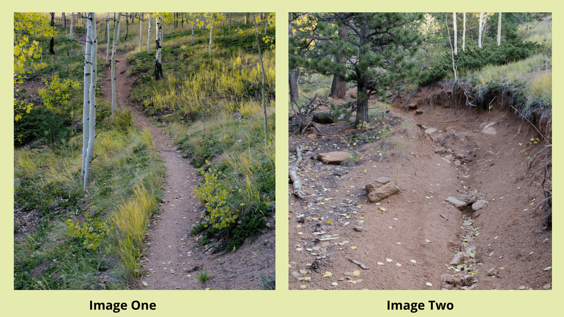 Image One: A trail that feels alive because it resolves all of the forces in its context, including erosion. Erosion is limited by frequent crests and dips in the trail alignment that cause water to fall off of the trail in the dips while forming natural shape in 3D. This trail needs very little maintenance.Image Two: This trail lacks dips for drainage. As a result, the trail suffers major erosion as water runs down it. This trail is being destroyed in the short run. It feels dead because it doesn’t resolve erosion as a force.