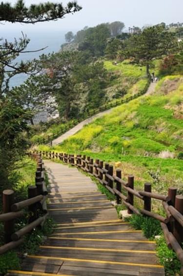 Jeju Olle Trail, route 7; photo by Kang Youngho