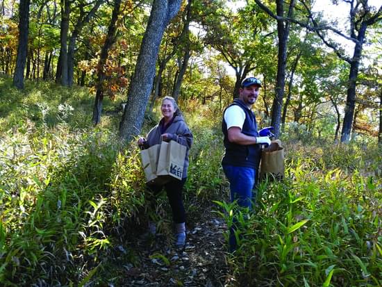 Kansas City WildLands volunteers gathering grass seed for revegetation projects
