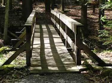 Timber trail bridge